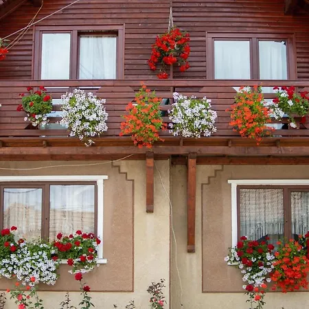 Saroklak Guest house