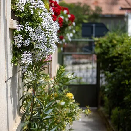Saroklak Guest house Sincraiu